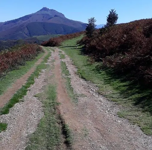 Les Hirondelles 2km Plage-wifi-jardin-parking-draps Et Serviettes Hendaye
